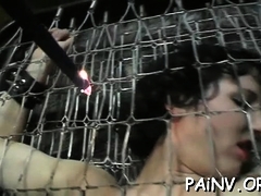 Try watching some nipple torture act to get jock erected